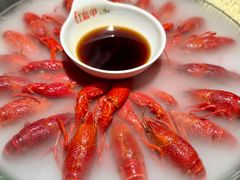 -红盔甲·小龙虾(人民广场店)