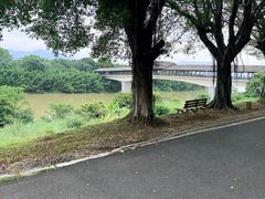 -鲤鱼洲酒店港鲤咖啡厅