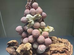 -大连自然博物馆