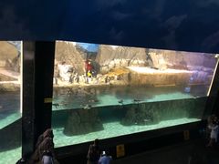 -成都浩海立方海洋公园