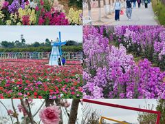-盈香心动乐园