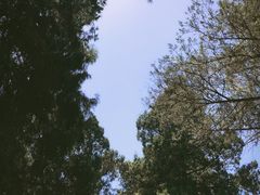 -西北农林科技大学(北校区)