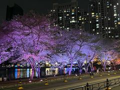 -西北湖绿化广场