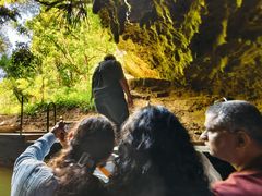 -怀托摩萤火虫洞