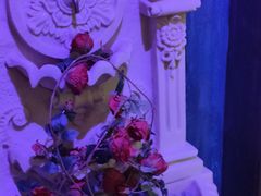 -雪灵魔法世界SHELLY’S TAROT(大良桂畔里店)