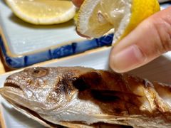 -镹·鱼料理  国产鱼使用店