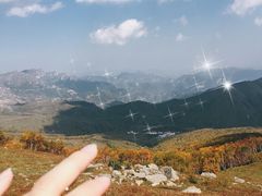 -灵山