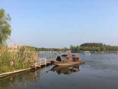 -杭州湾海上花田景区