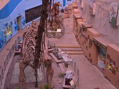 -陕西自然博物馆