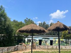 -北京野生动物园