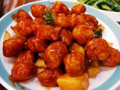 -椿记烧鹅(叠彩店)