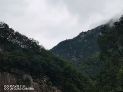 -沣峪口