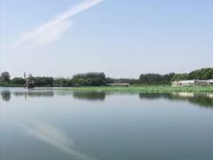 -大兴滨河森林公园