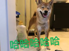 -宽板凳老灶火锅(簋街店)