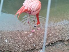 -大连老虎滩海洋公园