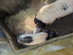 -汕尾铜鼎山旅游区