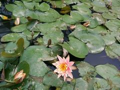 android_upload_pic-上海多利农业发展有限公司