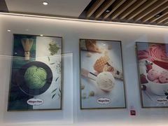 -哈根达斯(朝阳大悦城店)