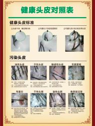 -Bollins波林丝•专研护发中心