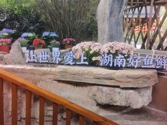 -耕渔小院·湖南鱼鲜(望城店)
