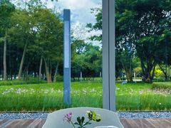 -香蜜公园