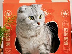 -鱼上·烤鱼(万象城店)