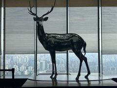 -北京柏悦酒店·锦庭餐厅Dining Room