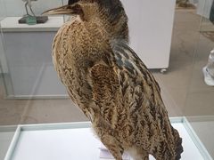 -陕西自然博物馆