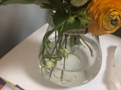 -植物学家的女儿(北马道巷店)