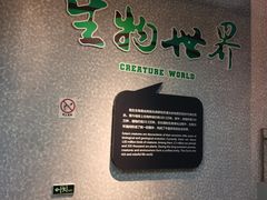 -烟台自然博物馆