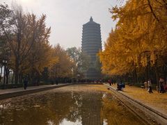 -玲珑塔公园
