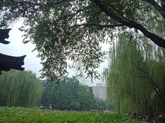 -莲湖公园