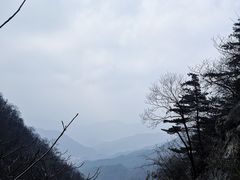 -王顺山国家森林公园