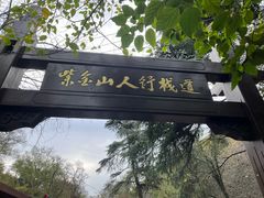 -紫金山山顶公园