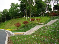 -大渡口区义渡公园