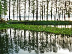 -东湖生态旅游风景区