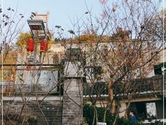 -南山老地方泉水鸡(南山店)
