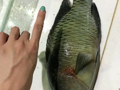 -海盗餐厅