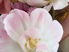 -扬州瘦西湖船宴