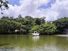 -深圳野生动物园