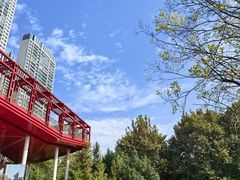 -游心咖啡(青山红坊店)