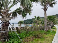 -大梅沙海滨公园