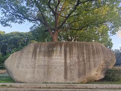 -吴淞炮台湾湿地森林公园烧烤区