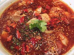 -杉杉奥特莱斯广场(哈尔滨店)