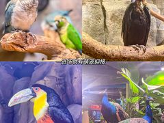 -正佳雨林生态植物园