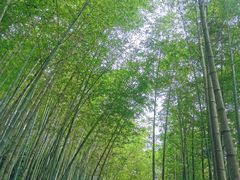 -千泷沟大瀑布旅游区