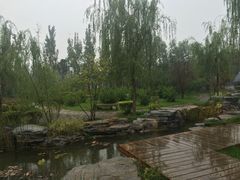 -武清南湖绿博园