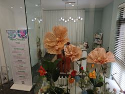 -安心妈妈月子中心(高新店)