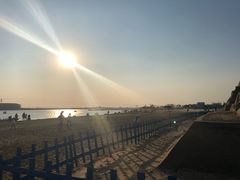 -金沙湖旅游度假区