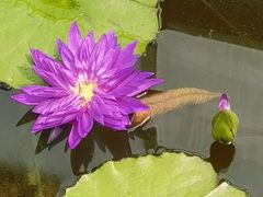 -国家植物园南园